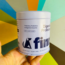 Load image into Gallery viewer, Little Pink Bulldogs Tin Earrings